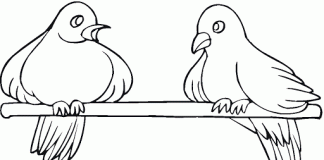 coloring page of two birds on a branch