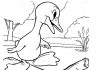 Coloring book duck on a tree trunk