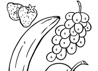 instructions de coloriage par fruit