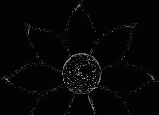 färgning av blomman enligt matematiska lösningar