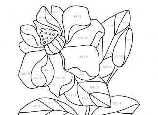 flower coloring book by color instructions