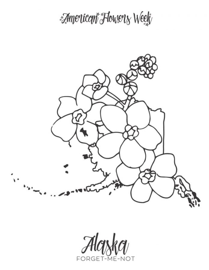 kolorowanka kwiaty z Alaski