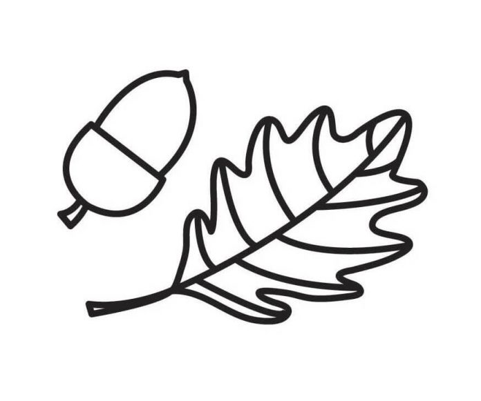Coloring book leaf with acorns