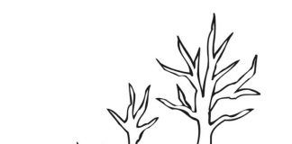 coloring page of leaves with acorns
