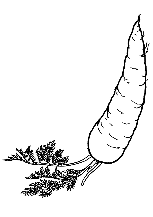 coloring page carrot with tail