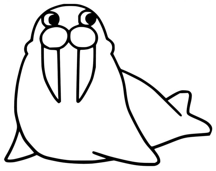 Printable walrus with sharp fangs coloring book