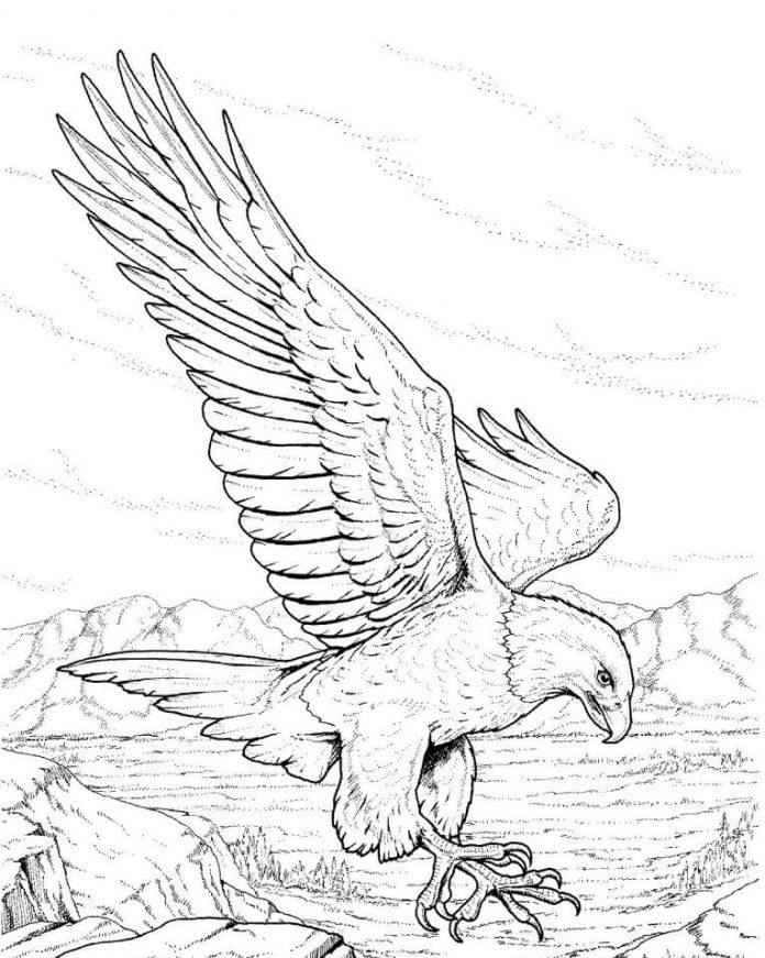 coloring page eagle extends talons
