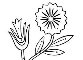 coloring page of a beautiful bouquet of flowers