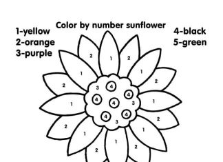 coloring page beautiful flower