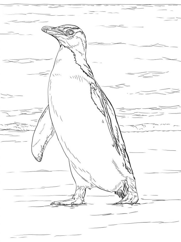 farvelægning pingvin over vand til udskrivning