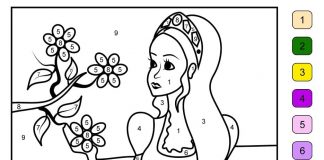 livre de coloriage "paint by numbers" foxgirl with flower