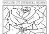 coloring book paint according to the legend of the rose