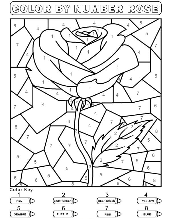 coloring book paint by legend rose