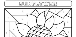 coloring book paint according to the legend sunflower