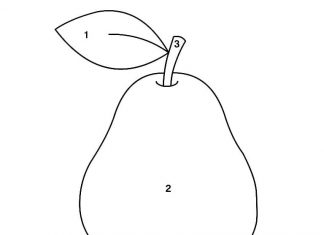 coloring page paint by numbers pear
