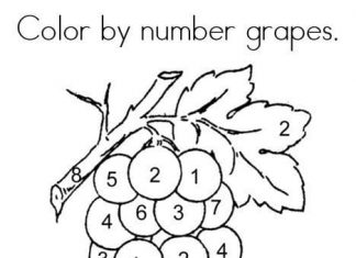 feuille de coloriage "paint by number" raisins