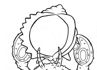 feuille de coloriage d'un personnage avec un coquillage