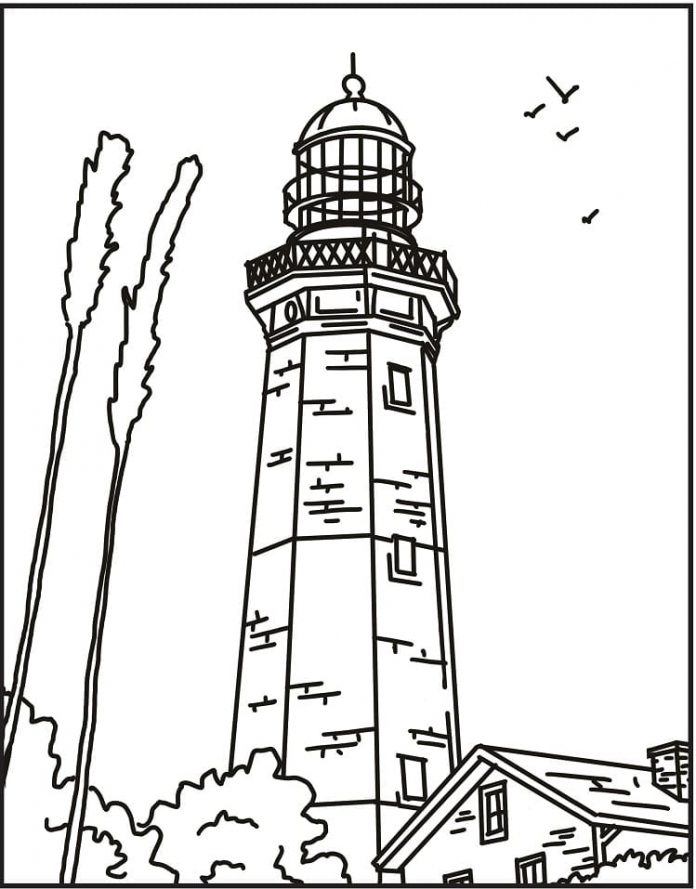 Coloring book of birds flying over lighthouse buildings