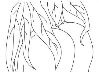 coloring page growing mangoes