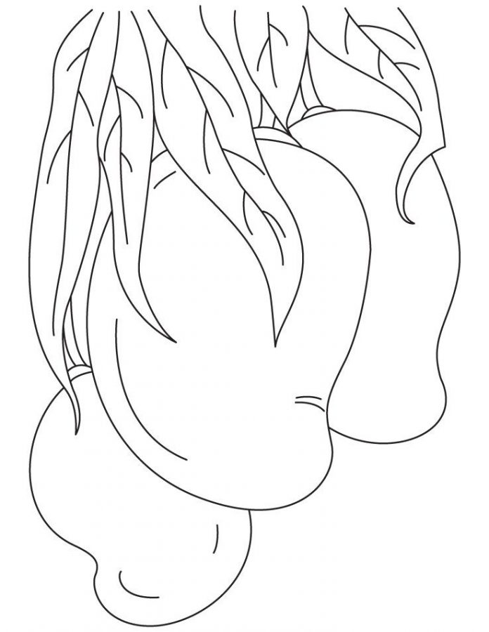 coloring page growing mangoes