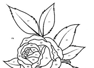 pages à colorier roses