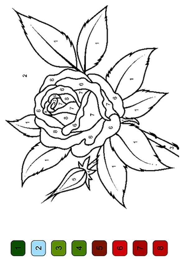 Färbung Seiten Rosen
