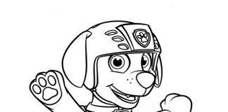 Coloring Book Paw Patrol Dog for Kids ZUma