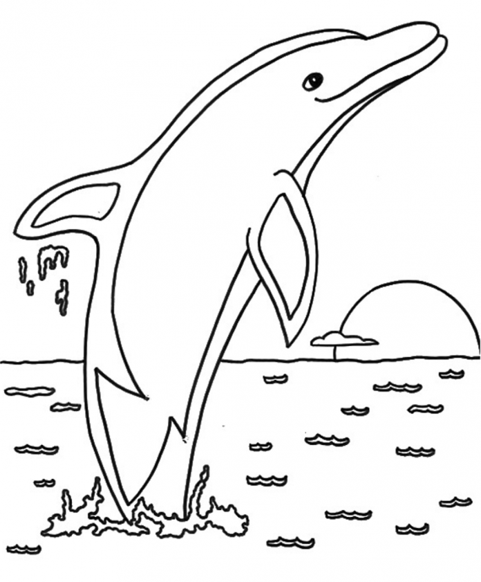 Printable coloring book of a jumping dolphin
