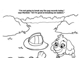 farvelægning skye hjælper kloedah fra tegneserien hundepatruljen