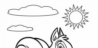 coloring page clever squirrel