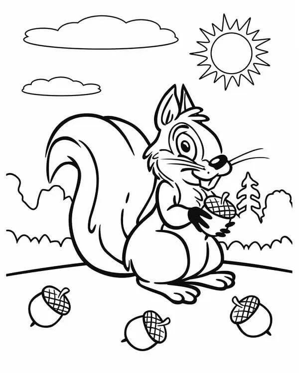 színező könyv egy okos mókusról