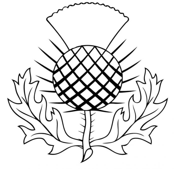 kolorowanka symbol Szkocki