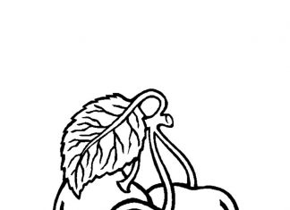 coloring page three cherries with a tail