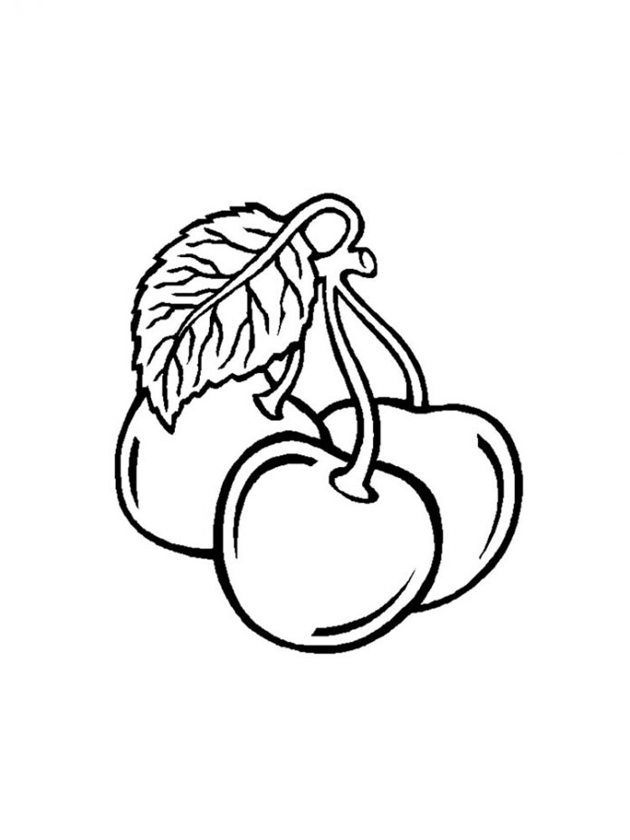 coloring page three cherries with a tail