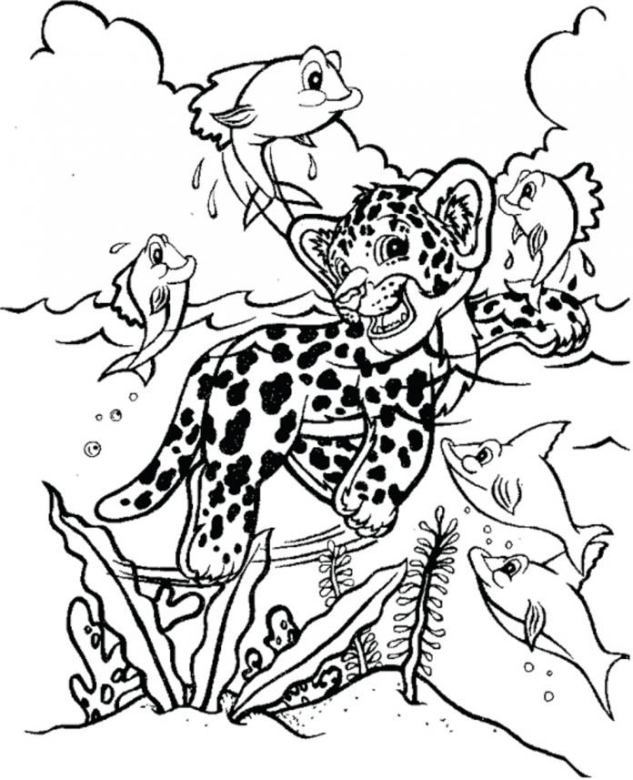 Printable tiger with fish coloring book for kids