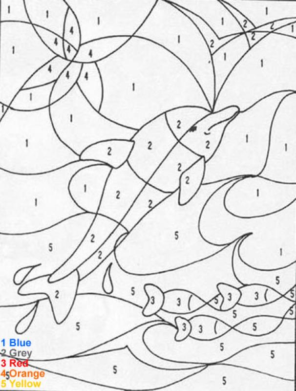Coloring book by instructions dolphin swim
