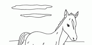 Coloring book by instructions horse in the paddock