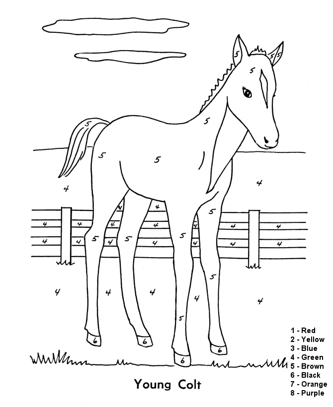 foglio da colorare con istruzioni cavallo nel paddock