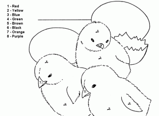 Coloring book by instructions hatching chickens
