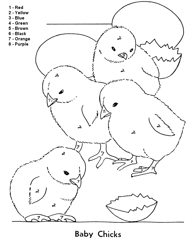 kolorowanka według instrukcji wykluwające się kurczaki