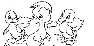 coloring book of ducklings hatching