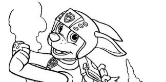 Coloring page happy Zuma for kids Psi Patrol