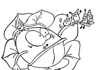 printable coloring book surprised cabbage