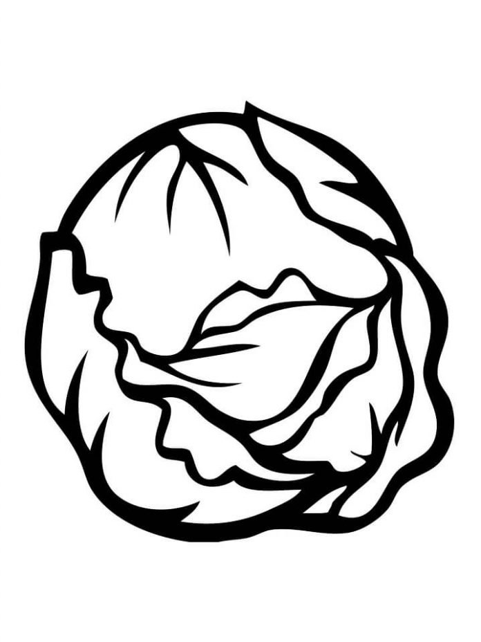 coloring page rotten cabbage
