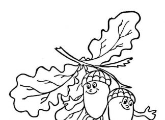 Coloring book acorns pinned to branches