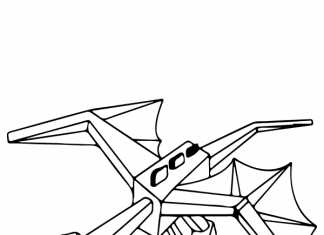 Dragon in flight 塗り絵ブック