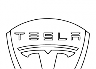 colorindo o logotipo do carro Tesla
