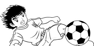 Anime footballer Tsubasa