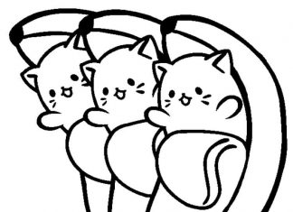 Tre katter på en bild