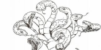 Hydra käärme värityskirja